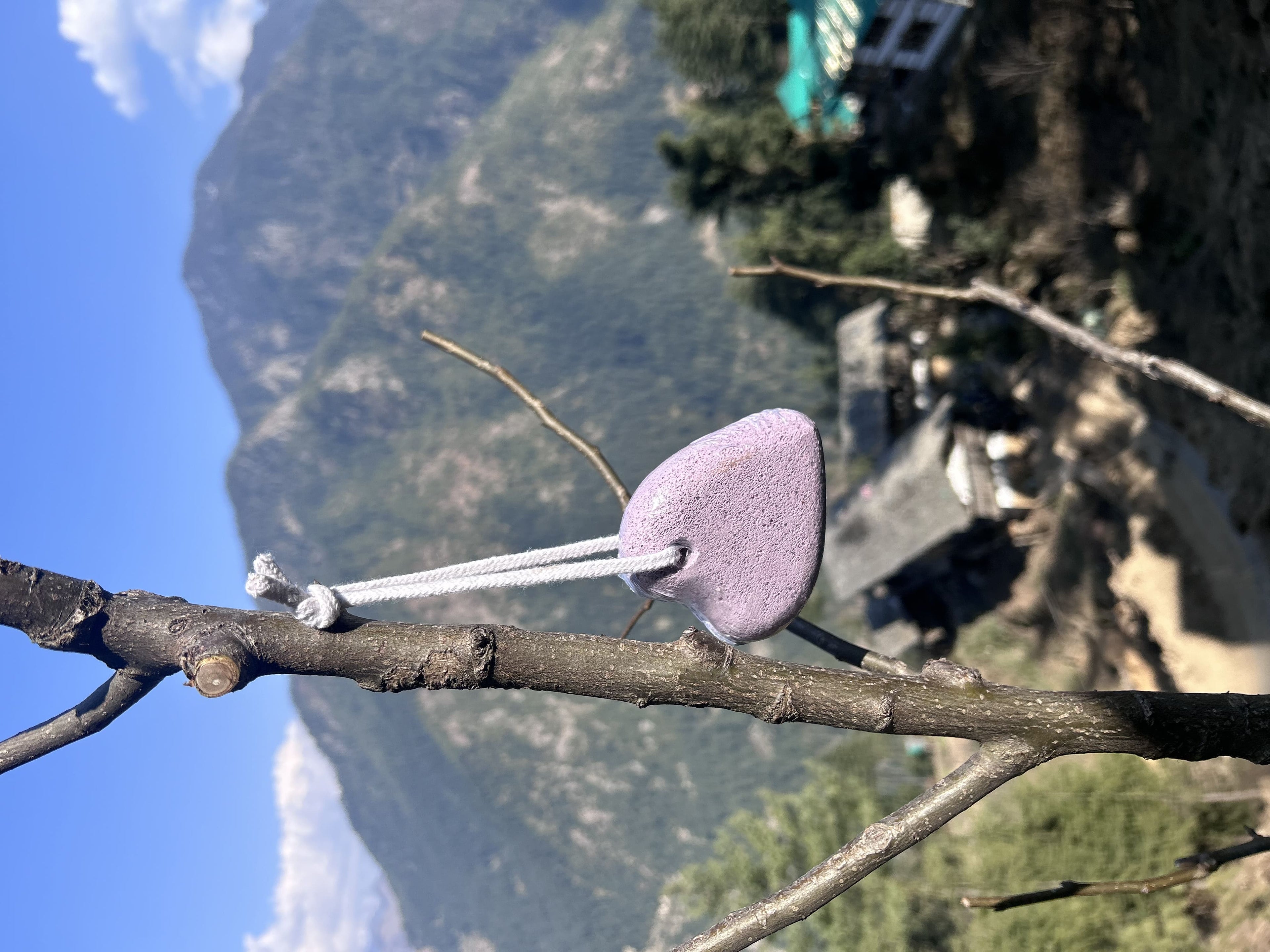 Heart Shaped Pumic Stone Foot Scrubber